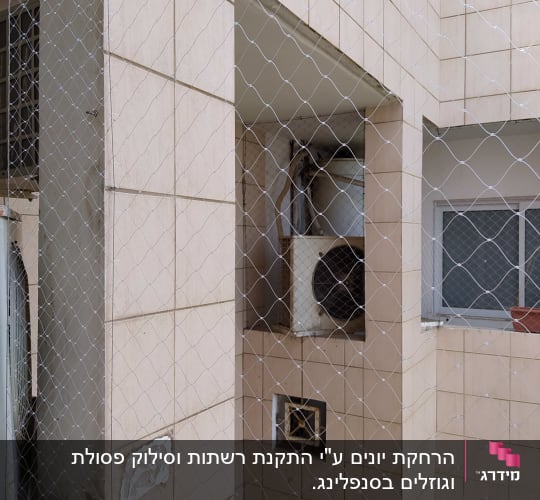 רשת למניעת כניסת יונים על קיר בניין